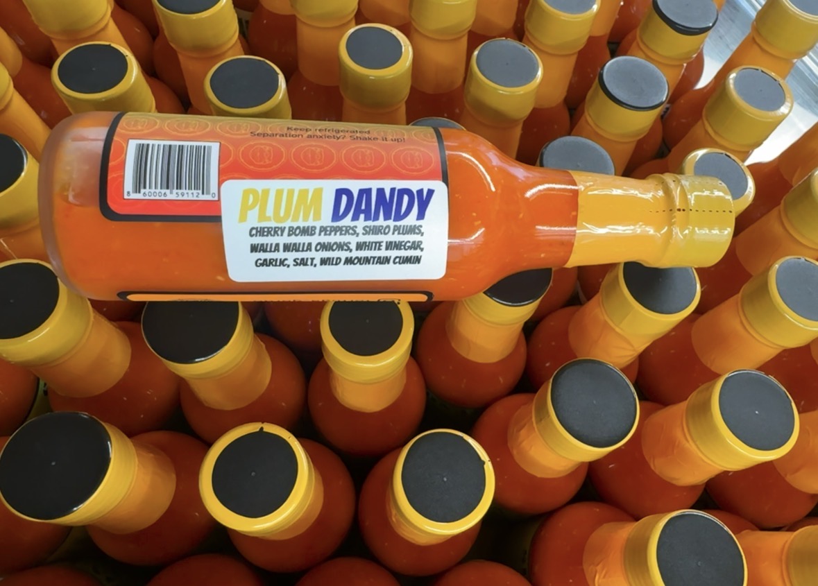Plum Dandy